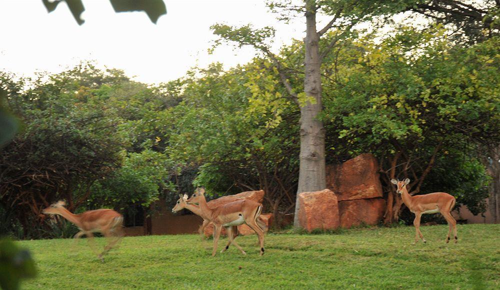 M'Kango Golfview Hotel Lusaka Kültér fotó